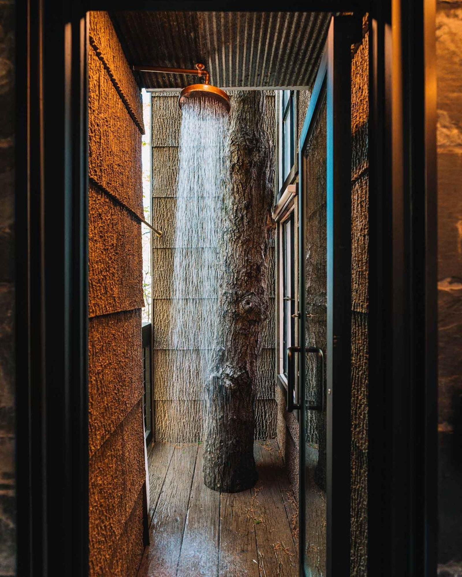 Treetop Hideaways: Wood Lily Treehouse In Chattanooga Eksteriør bilde